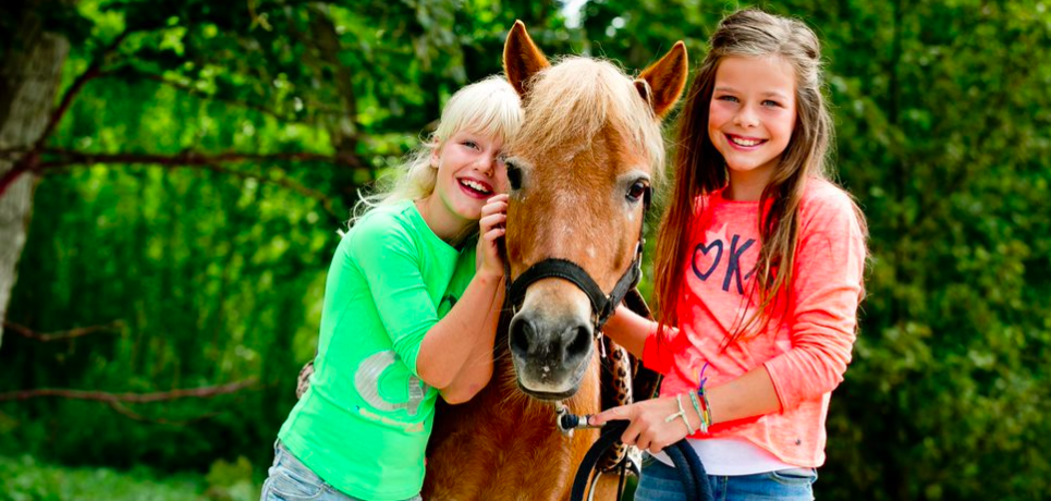 De leukste boerencampings in Nederland